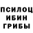 Псилоцибиновые грибы Psilocybe Mia Sodo