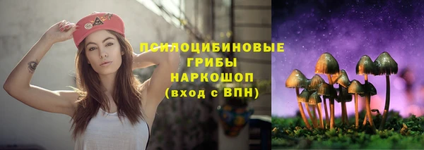 крисы Белокуриха
