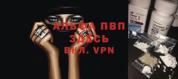 гашик Сосновка
