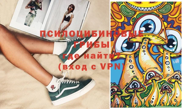 крисы Белокуриха